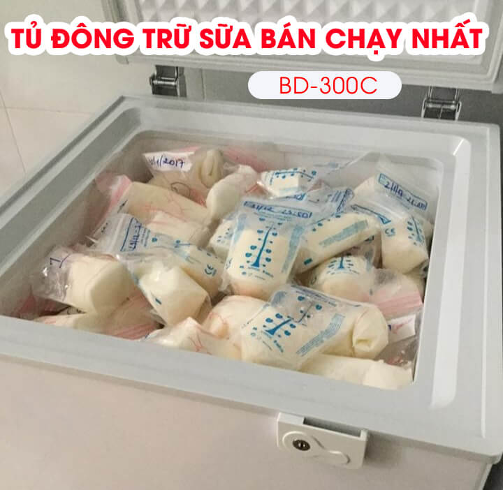 Tủ đông trữ sữa bán chạy nhất BD-300C